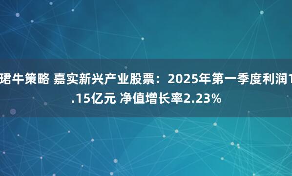 珺牛策略 嘉实新兴产业股票：2025年第一季度利润1.15亿元 净值增长率2.23%