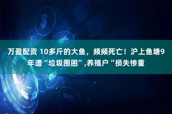 万盈配资 10多斤的大鱼，频频死亡！沪上鱼塘9年遭“垃圾围困”,养殖户“损失惨重